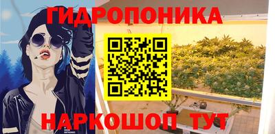 амф Гай