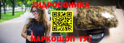 амф Гай