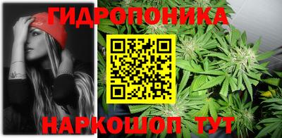мдпв Гагарин