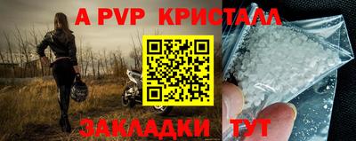 амф Гай