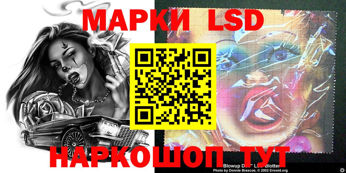 Бердск  Наркотические марки 1,5мг  Вход с VPN  Наркотические марки 1,5мг 