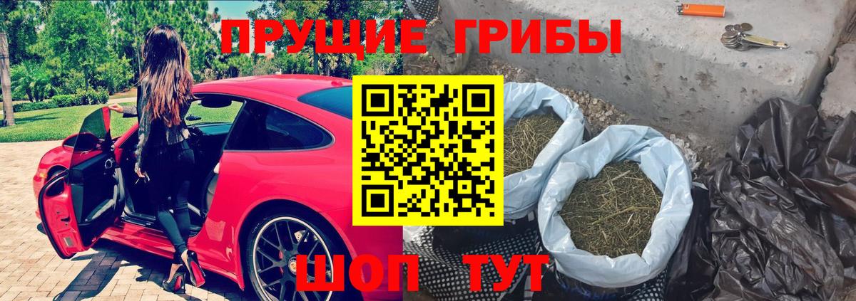 Бердск  Псилоцибиновые грибы Cubensis  Галлюциногенные грибы Cubensis  Вход с VPN 