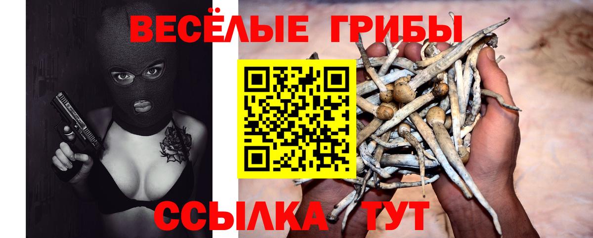 Псилоцибиновые грибы мухоморы Бердск